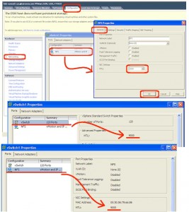 esxi mtu summary