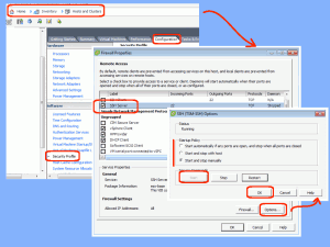 VMware Enable SSH via GUI