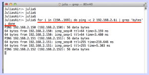 OS X Ping Sweep