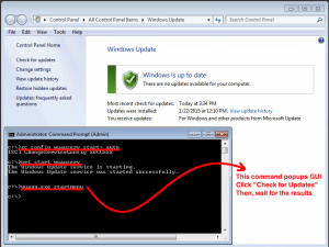 Starting Windows Updates from the CLI