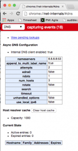Chrome DNS cache